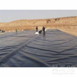 太仆寺旗防滲土工膜、土工布 貨到付款，規(guī)格型號齊全，實時報價解析