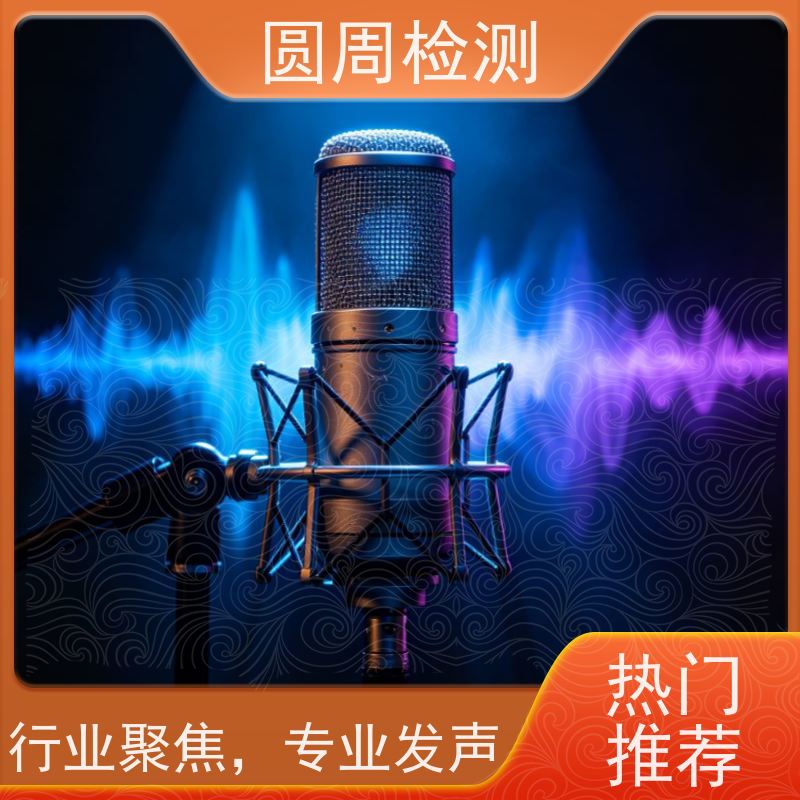 打造高品質消聲室測試 助您從容應對音箱噪聲排放超標難題